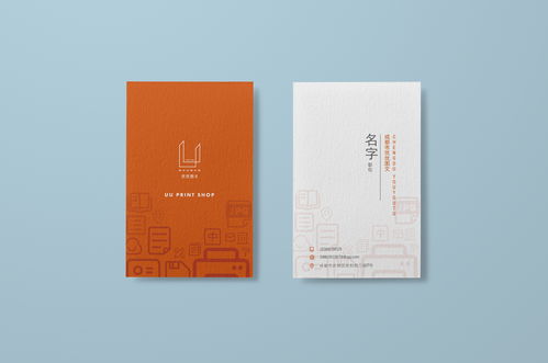 圖文印刷品牌設(shè)計(jì)與軟件開(kāi)發(fā)的融合創(chuàng)新